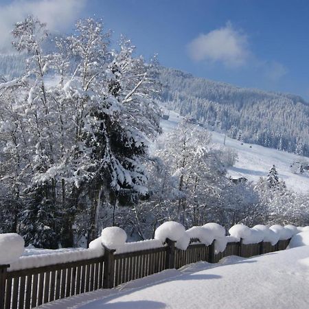 Alpbach Loft Apartment Bagian luar foto